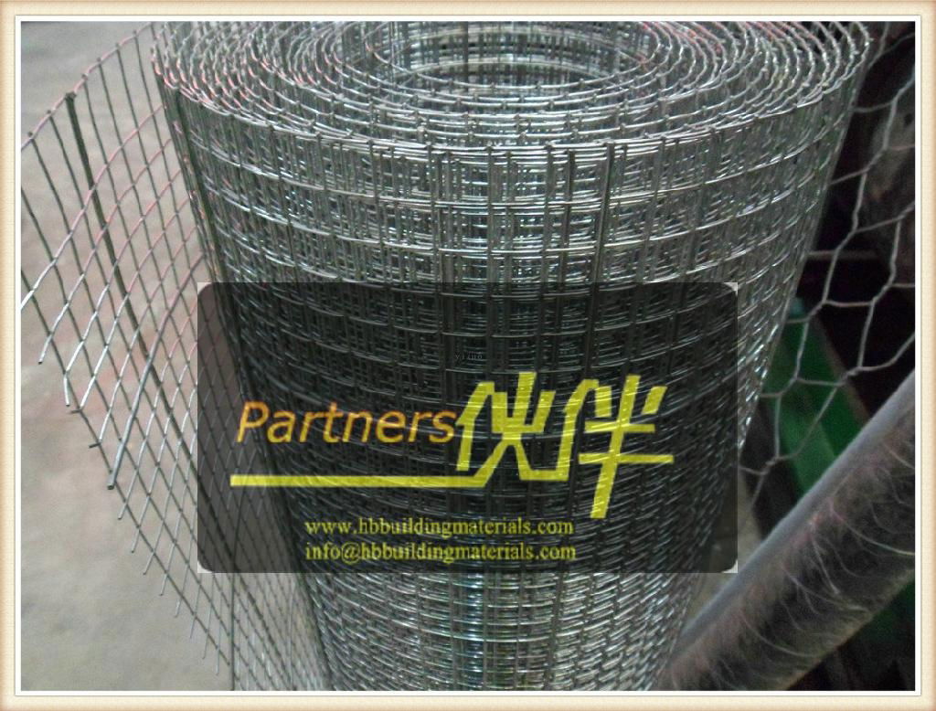 galvanized welded wire mesh