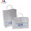 Customized White Paper Gift with Plastic Handles for clothing pack 2