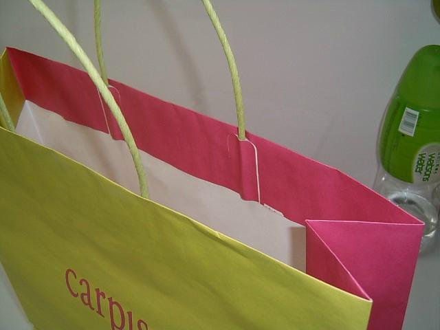 Paper Carrier Bags Gift Bags Shopping Bags 3