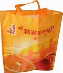 Non-woven Fabric carrier bags  shopping bags  gift bags