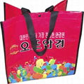 PP woven fabric carrier bag  shopping