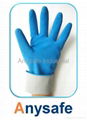 Household Glove