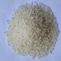 Chitin mother grains