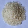 Chitin mother grains 2