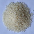 Chitin mother grains 3