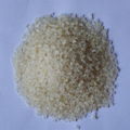 Chitin mother grains