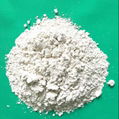 Carapace powder