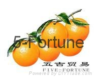 NingbBo Five-Fortune Trade CO., LTD.