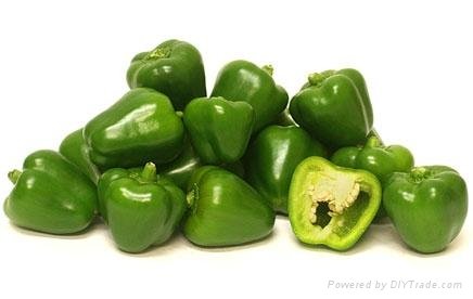  Green Sweet Pepper , Bell Pepper, Red, Yellow