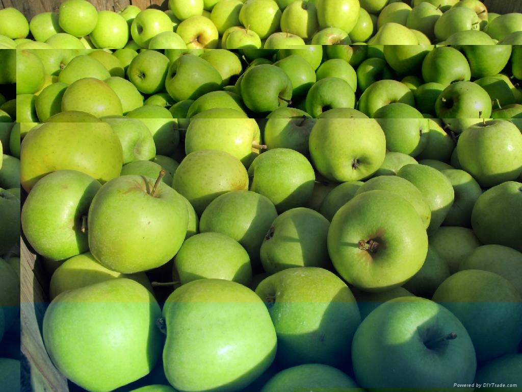 Fresh Apples , Fuji, Golden Delicious, Gala, Pink Lady (South Africa