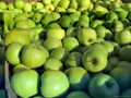 Fresh  Apples , Fuji, Golden Delicious,