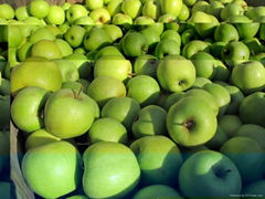 Fresh  Apples , Fuji, Golden Delicious, Gala, Pink Lady