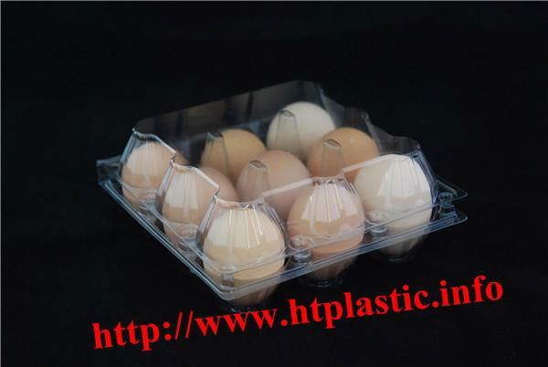 100% new material PVC egg tray 4