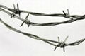 Galvanized Barbed Wire 1