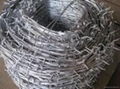 Hot-Galvanized Barbed Wire