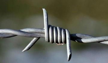 Stainless steel Barbed Wire