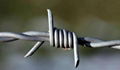 Stainless steel Barbed Wire 1