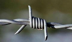 Stainless steel Barbed Wire