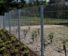 Galvanized Welded Fencing