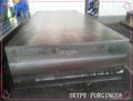 forged flat hot mould steel