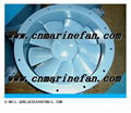 BSCZ Marine Ventilation fan,Axial fan