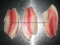 Tilapia fillets 2