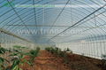 Economical Plastic Vegetables Greenhouse