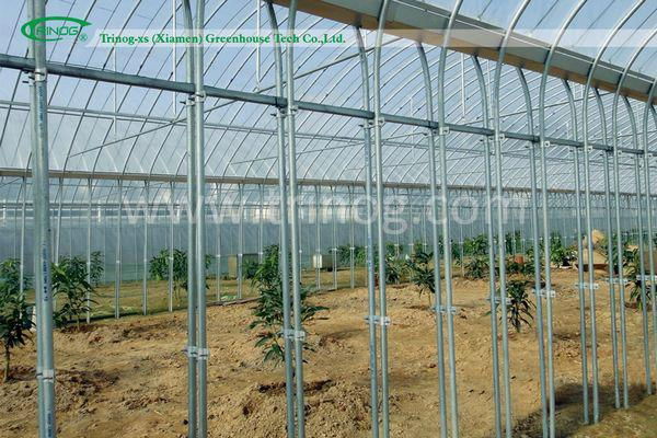 Economical Plastic Vegetables Greenhouse 2