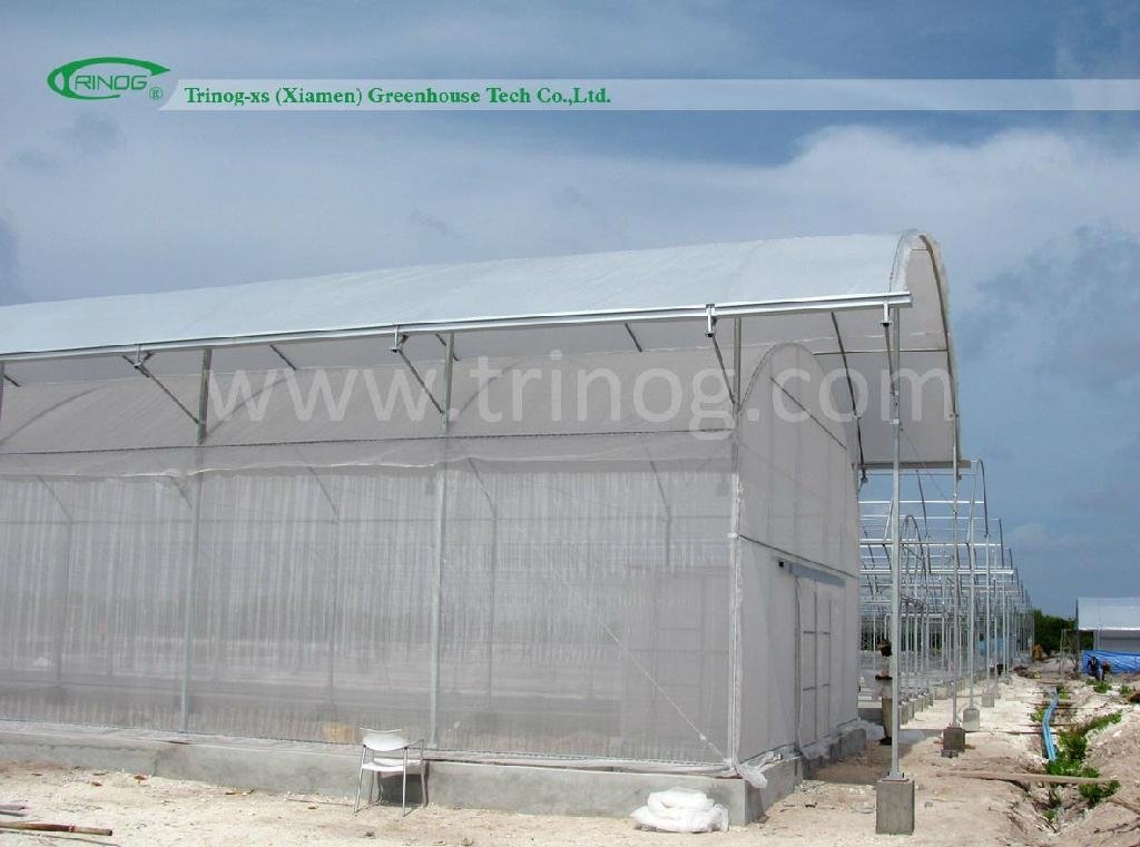 High Modern Multispan Agricultural Plastic Greenhouse 2