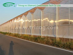 Polycarbonate Greenhouse