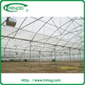 High tunnel greenhouse 3