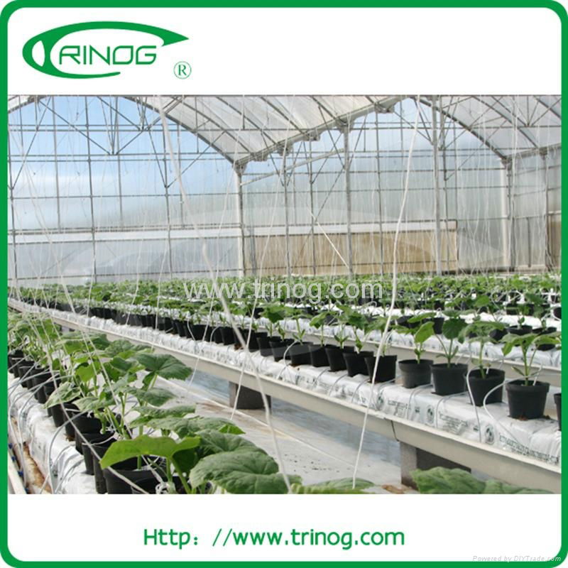 High tunnel greenhouse 4