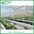 High tunnel greenhouse 4