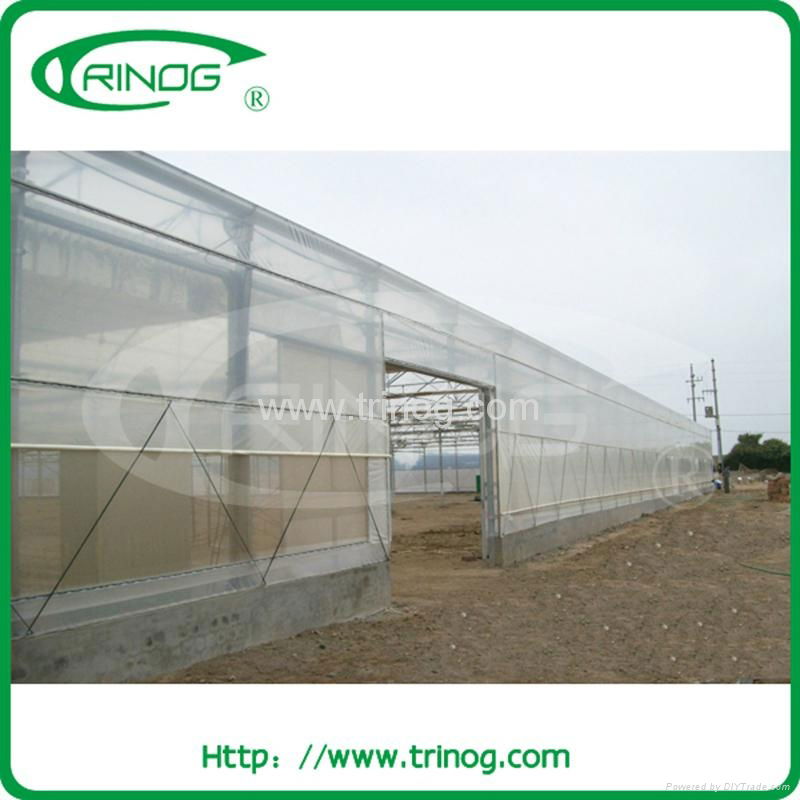 High tunnel greenhouse 2