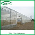 High tunnel greenhouse 2