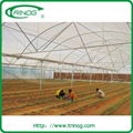 High tunnel greenhouse 5