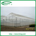 High tunnel greenhouse 1