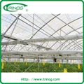 Agricultural greenhouse 2