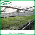 Agricultural greenhouse 3