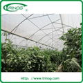 Agricultural greenhouse 5