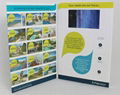 video brochure