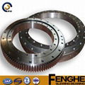 Xuzhou Fenghe Big Size Slewing Ring Bearing for Construction Machinery