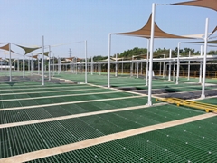 Nantong Weenoor International trading Co.,ltd Nantong Weenoor International trading Co.,ltd