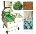 TF-305 Vegetable Cutting Machine 2