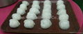 Shrimp-Dumpling Forming Machine 5