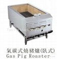 Gas Pig Roaster/Carbon Pig Roasrer