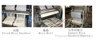 Tanfar Large Fried Rice Noodle /Rice Roll Making machines 4