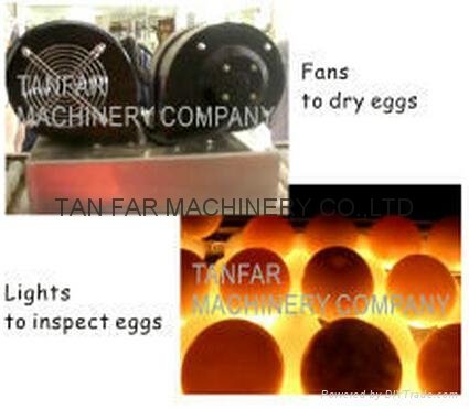 TF-5200 Egg Breaker(Egg white and Egg Yolk Separator)   4