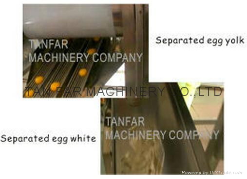 TF-5200 Egg Breaker(Egg white and Egg Yolk Separator)   5