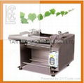 Auto. High Quality Easy-Operated Fish Skinner for Sale,fish processing machine 1